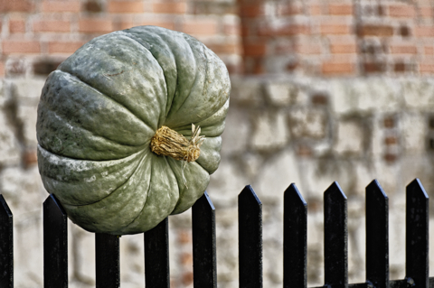 Bild: Herbstzeit ist Kürbiszeit - An der Stadtmauer von Riga in der Torņa iela.