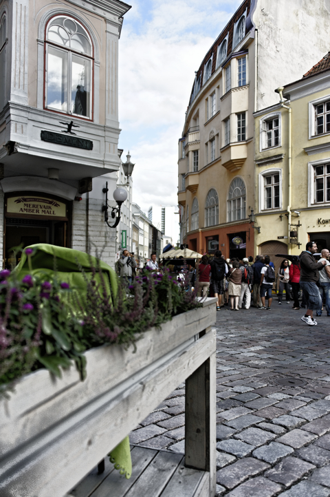 Bild: Scharen von Touristen in der Kuninga Straße in Tallin. NIKON D700 mit AF-S NIKKOR 28-300 mm 1:3,5-5,6G ED VR ¦¦ ISO400 ¦ f/3 ¦ 1/1600 s ¦ FX 28 mm.
