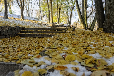Bild: Herbststimmung in der P. Cvirkos aikštė in der Altstadt von Vilnius. Vilnius ist eine Stadt der Parks und Bäume - fast die Hälfte des Stadtgebietes ist eine Parklandschaft. NIKON D700 mit AF-S NIKKOR 28-300 mm 1:3.5-5.6G ED VR.