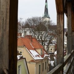 Bild: Bild: In der Altstadt von Tallinn sind die Häuser eng ineinander geschachtelt. Im Hintergrund ist die Oleviste kirik (Olevikirche) zu sehen.