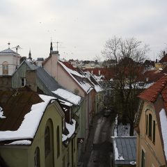 Bild: In der Altstadt von Tallinn sind die Häuser eng ineinander geschachtelt.