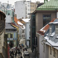 Bild: Blick von der Stadtmauer auf die Müürivahe.