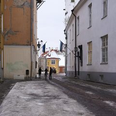 Bild: In der Toom-Kooli aud dem Domberg von Tallinn.