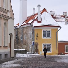 Bild: In der Toom-Kooli aud dem Domberg von Tallinn.