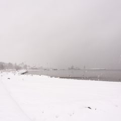 Bild: Auch der Stadthafen von Tallinn liegt unter starkem Schneefall.
