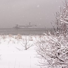 Bild: Fast schon gespenstich schleicht die TALLINK Fähre in den Stadthafen von Tallinn.