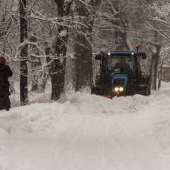 Bild: Im Park von Kadriorg in Tallinn werden die Schneemassen auf den Hauptwegen mit großen Traktoren weggeräumt. Babuschka muss deshalb in den Tiefschnee außerhalb des Weges ausweichen.