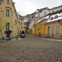 Bild: In der Olevimägi in Tallinn.