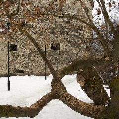 Bild: Sie Kanonenbastion "Dicke Margarethe" in Tallinn.