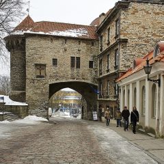 Bild: Stadttor an der "Dicken Margarethe" von der Altstadt von Tallinn aus gesehen.