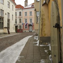Bild: In der Tolli von Tallinn.