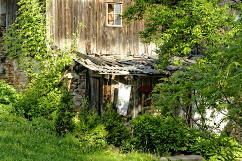 Bild: Holzhaus in Užupis - irgendwie romantisch. NIKON D700 und AF-S NIKKOR 24-120 mm 1:4G ED VR.