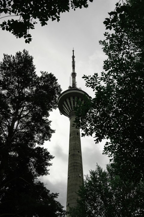 Bild: Abendstimmung am Fernsehturm von Tallinn. NIKON D700 und AF-S NIKKOR 24-120 mm 1:4G ED VR.
