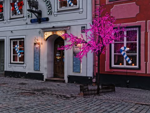 Bild: Lustig finde ich, dass in der Altstadt von Riga zur Weihnachtszeit fast alle Bäume - auch Laubbäume - durch das behängen mit Lichterketten zu Weihnachtsbäumen umfunktioniert werden. OLYMPUS OM-D E-M5 und M.Zuiko Digital 12-50mm 1:3.5-6.3 EZ.