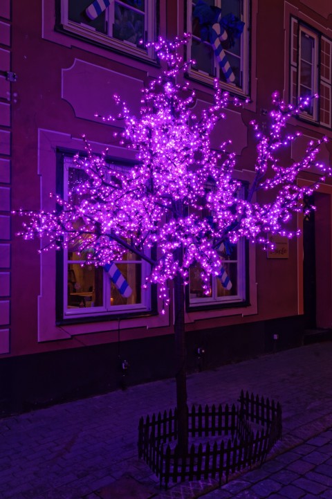 Bild: In Riga werden selbst Laubbäume weihnachtlich geschmückt. Abends verbreiten die bunten Lichterketten eine schöne Stimmung. NIKON D700 mit AF-S NIKKOR 24-120 mm 1:4G ED VR. ISO 1600 ¦ f/7,1 ¦ 30 mm ¦ 1/40 s ¦ kein Blitz. Klicken Sie auf das Bild um es zu vergrößern.