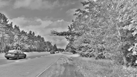 Bild: An der Holocaust Gedenkstätte Rumbula im Südosten von Rīga. NIKON D700 mit TAMRON SP 24-70mm F/2.8 Di VC USD. ISO 200 ¦ f/11 ¦ 24 mm ¦ 1/200 s ¦ kein Blitz. Klicken Sie auf das Bild um es zu vergrößern.