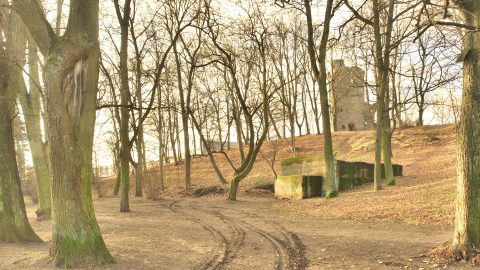 Bild: Ruine einer geheimnisvollen Burg im Stadtteil Sarkandaugava in Rīga. OLYMPUS OM-D E-M1 mit M.ZUIKO DIGITAL ED 12‑40mm 1:2.8 ISO 320 ¦ f/7,1 ¦ 14 mm ¦ 1/320 s ¦ kein Blitz. Klicken Sie auf das Bild um es zu vergrößern.