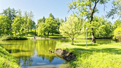 Bild: Blick auf den Teich im Schlosspark von Cēsis. OLYMPUS OM-D E-M1 Mark II und M.ZUIKO DIGITAL ED 7‑14mm 1:2.8 PRO. ISO 200 ¦ f/7.1 ¦ 7 mm ¦ 1/400 s ¦ kein Blitz. Klicken Sie auf das Bild um es zu vergrößern.