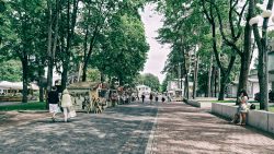 Image: Jūrmala in Latvia. Double click on the image to enlarge.